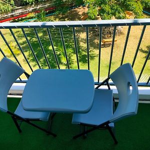 Studio Garden View